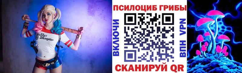 Галлюциногенные грибы Cubensis  Дмитровск 