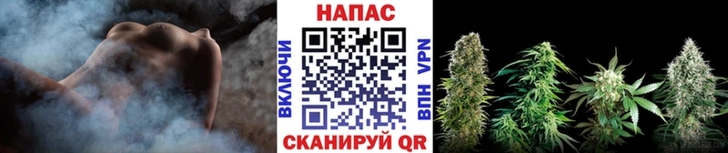 Марихуана тримм  Дмитровск 